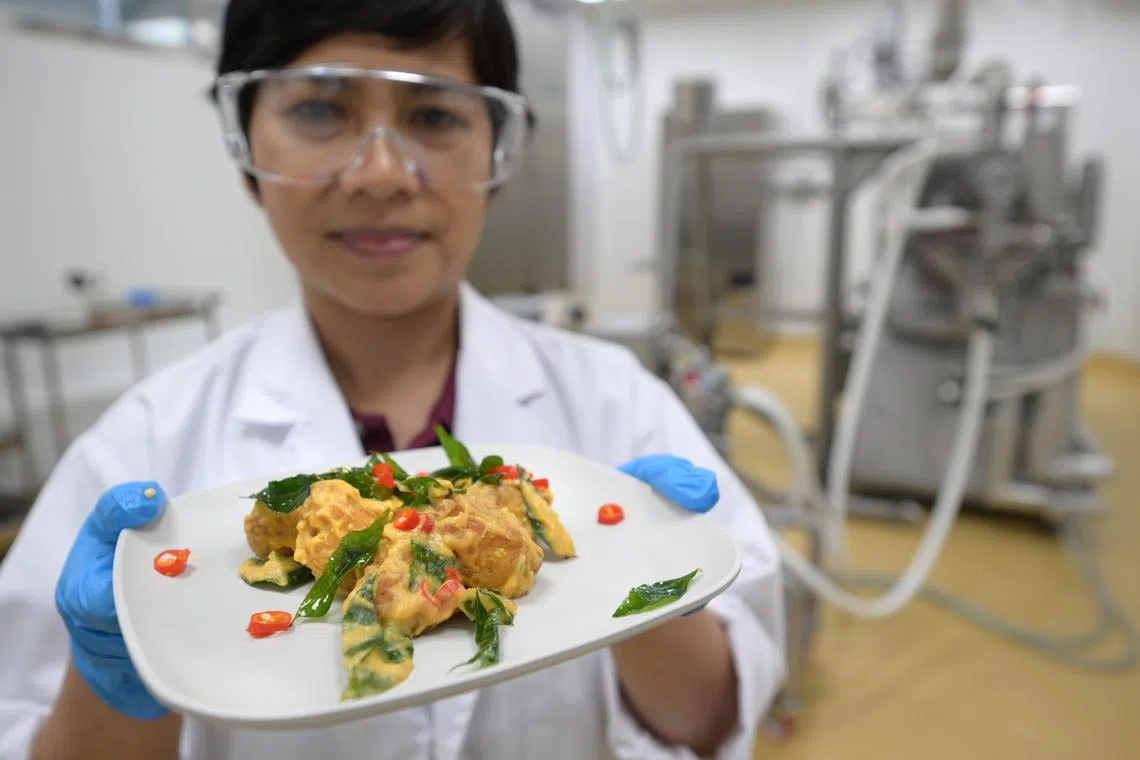 rafood/ST20240918_202439200752/Ng Sor Luan/A scientist at FutureBites with a plate of salted egg CulinaPlant chunks. dsm-firmenich unveils its new facility, FutureBites, which is a close to SG$30 million investment in Singapore to strengthen its research and development capabilities in food innovation, scale manufacturing capacities and to develop a stronger base of regional talent.