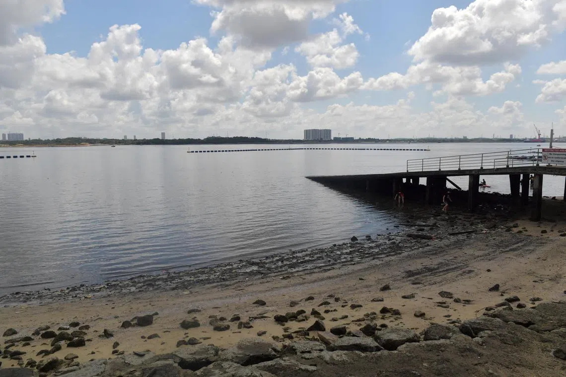 NEA is advising beach goers not to swim at Pasir Ris Beach and Sembawang Park Beach (pictured) due to elevated levels of Enterococcus bacteria.