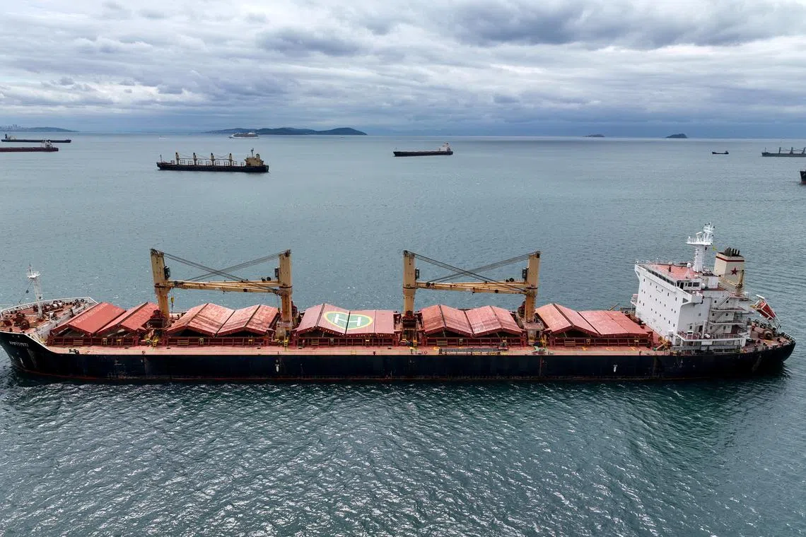 Amfitriti, a bulk carrier part of the Black Sea grain deal, and other commercial vessels wait to pass the Bosphorus strait off the shores of Yenikapi in Istanbul, Turkey, May 10, 2023. REUTERS/Mehmet Emin Caliskan/File Photo