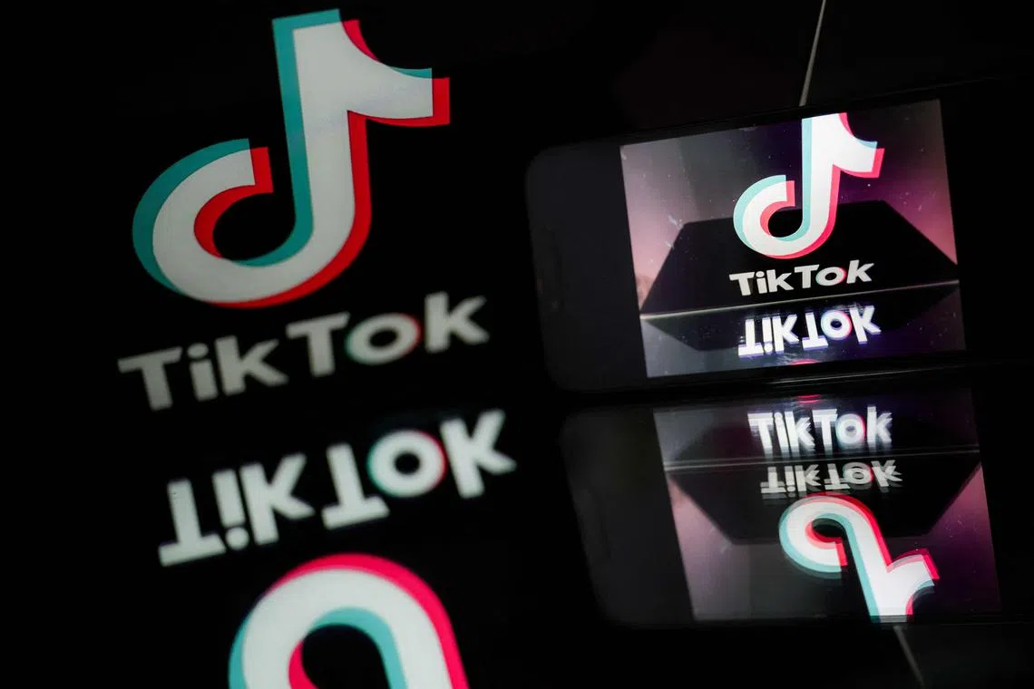 The US House of Representatives plans to vote on March 12 or 13 on the TikTok crackdown bill.