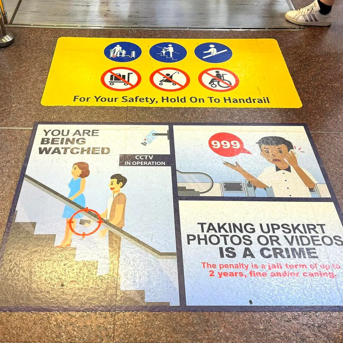 clmolest02 - 

Credit: Clara Lock