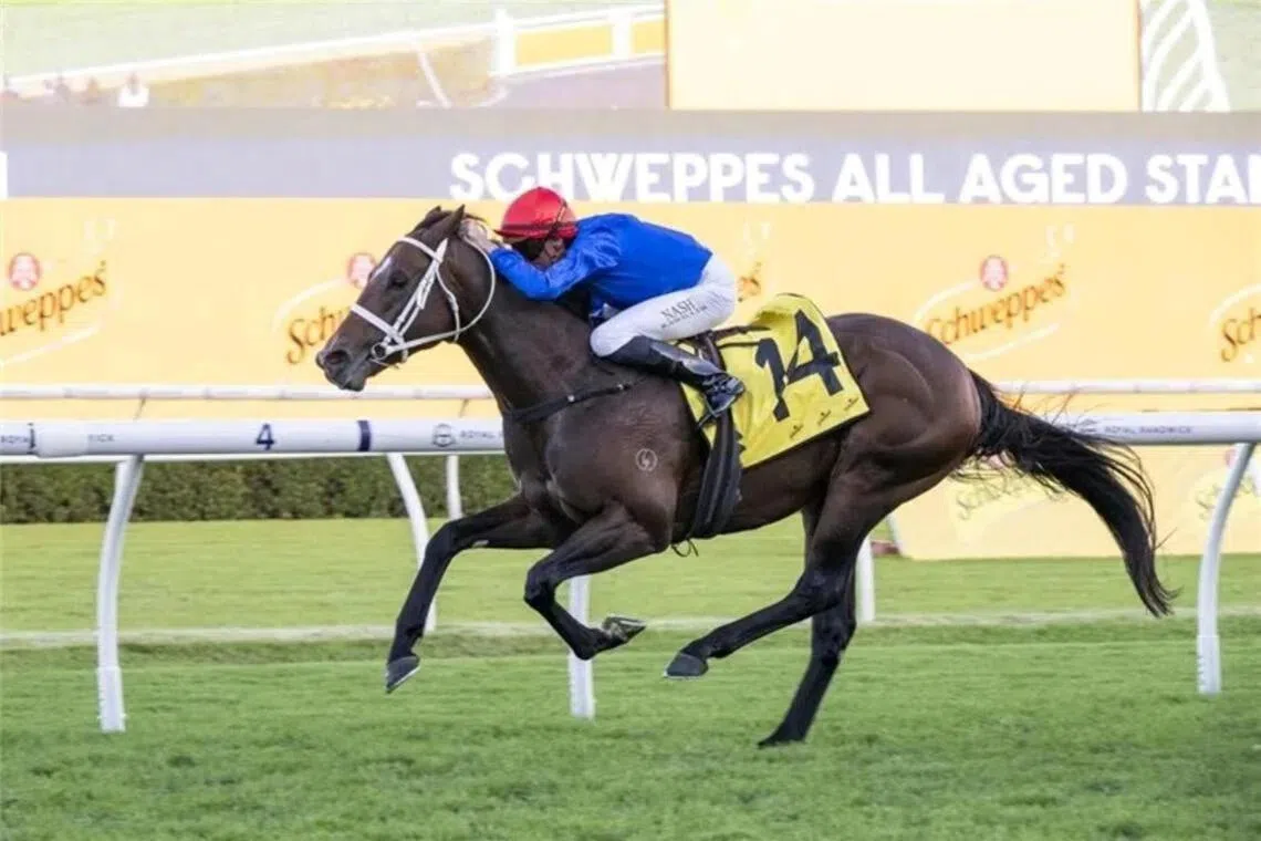 Beiwacht (Nash Rawiller) making all in the Group 1 All Aged Stakes (1,400m) at Royal Randwick on April 18. 
PHOTO:  SKY RACING WORLD