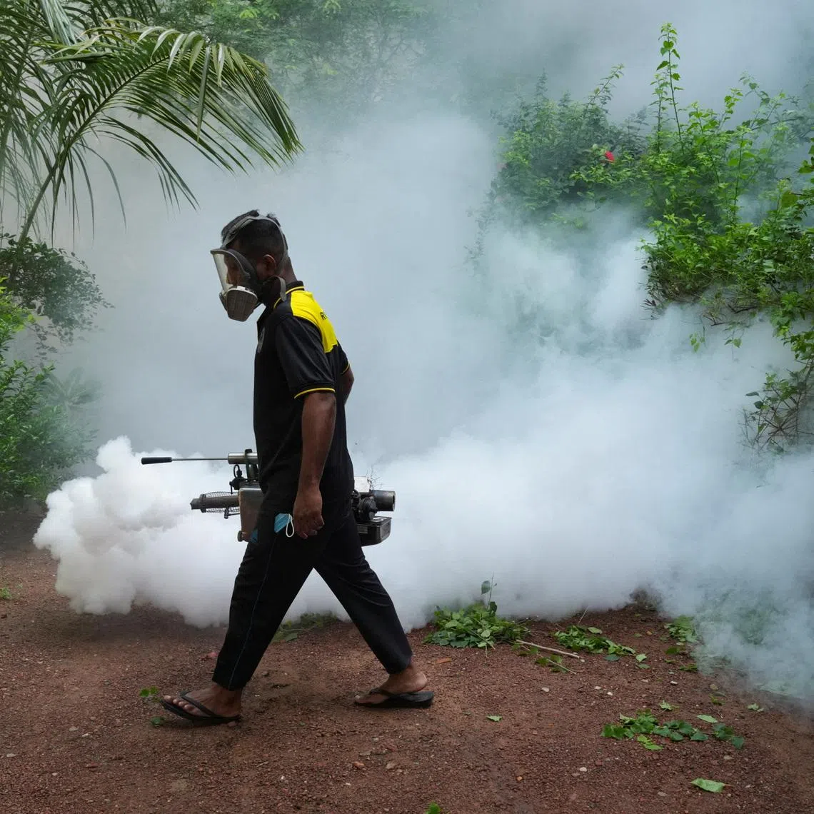 A worker from the Medical Officer of Health (MOH) department fumigates an area during a mosquito control programme in Colombo, Sri Lanka, June 19, 2026. REUTERS/Thilina Kaluthotage