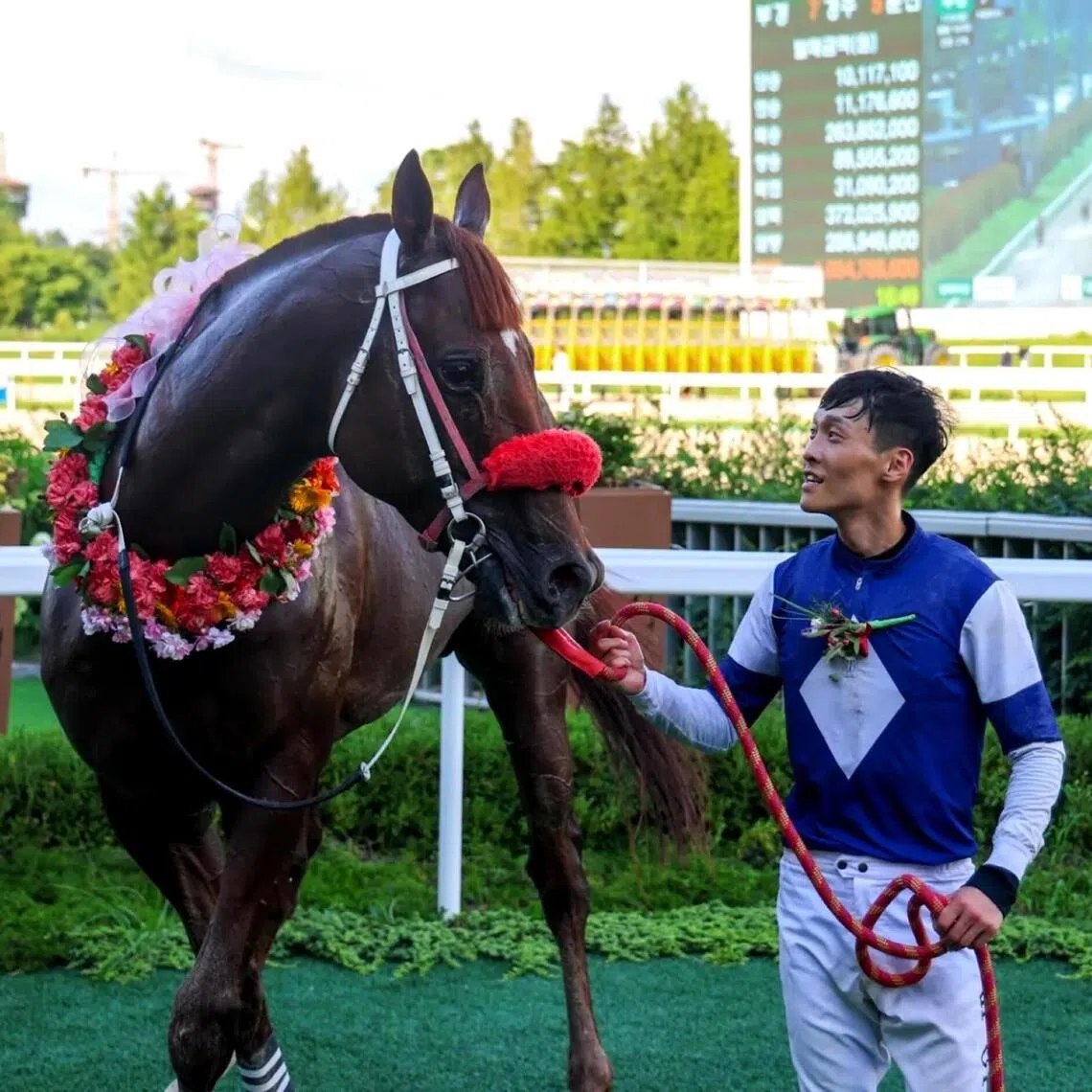Gangpungma - Gangpungma with his winning jockey Jo Jae-ro after winning the Grade 2 KRA Classic (2,000m) on July 26.

PHOTO: KRA