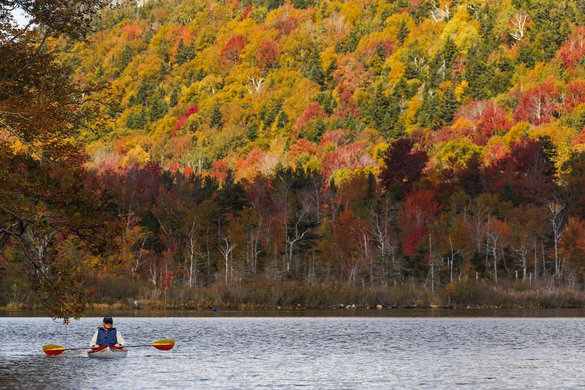 A kayaker paddling in Echo Lake while surrounded by the fall foliage colors in Franconia Notch State Park in Franconia, New Hampshire, USA, Oct 3, 2024. 