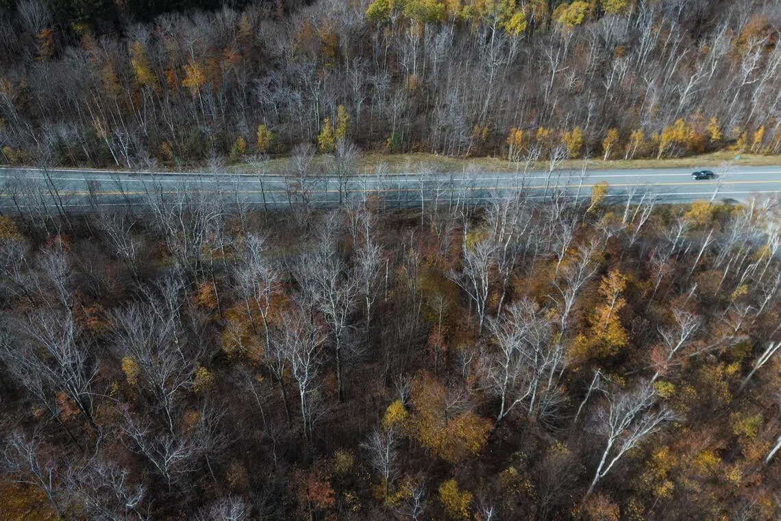 A road in Lincoln, N.H. where Betty and Barney Hill in 1961 claimed to have encountered a UFO, the first widely-reported such encounter, seen here on Oct. 24, 2025. Through trinkets and tales, a UFO story that once captured national attention lives on in Lincoln. (John Tully/The New York Times)