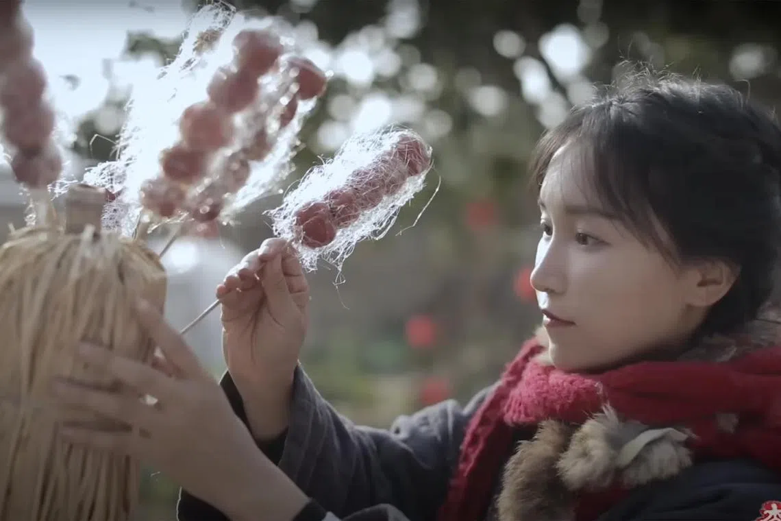 Popular Chinese influencer Li Ziqi made a surprising comeback on Nov 12, 2024, after she stopped posting videos for more than three years.