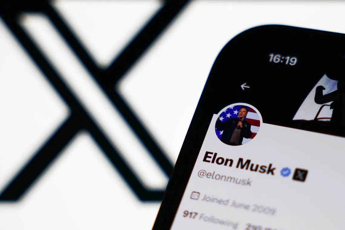 US billionaire Elon Musk has been accused of meddling in European politics.