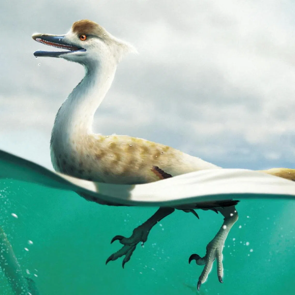 An artist's reconstruction of the bird-like Cretaceous period dinosaur Natovenator polydontus.