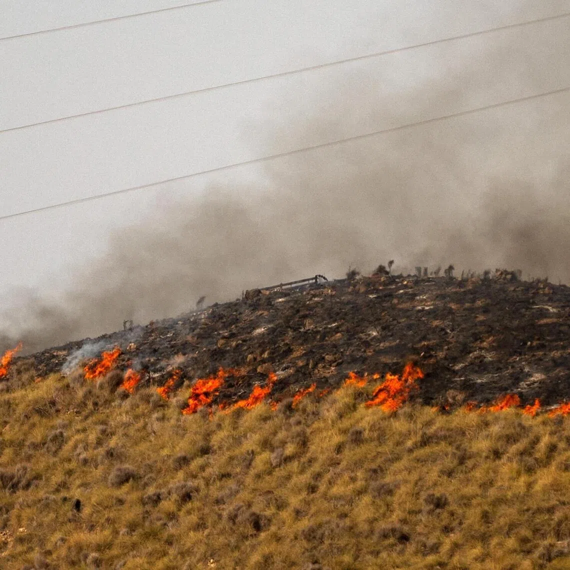 Flames stretching along a hillside are pictured in the area of a wildfire that killed at least 12 people near Bedar, in Los Gallardos district, in Almeria Province, on July 11.