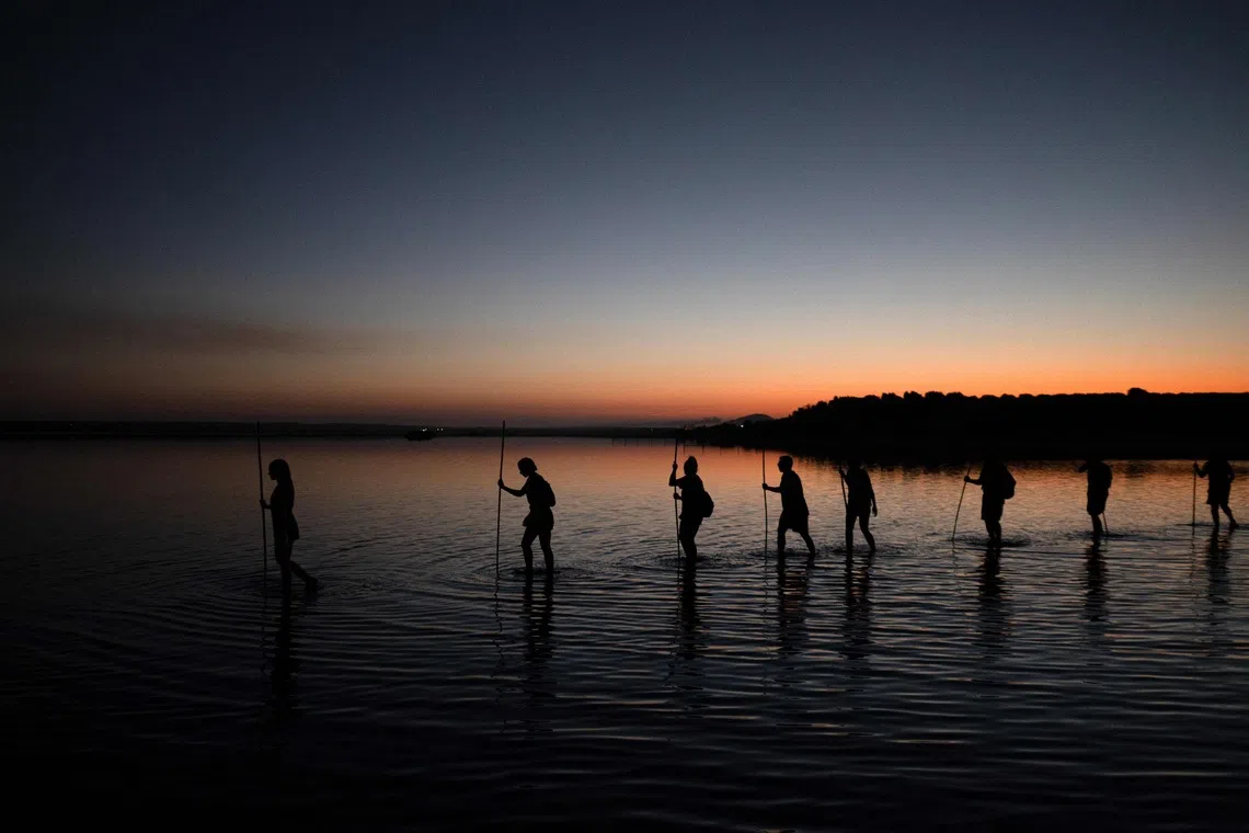TOPSHOT - Volunteers wade into the Fuente de Piedra lagoon, 70 kilometres from Malaga, to take part in the annual flamingo ringing and monitoring campaign, at dawn on August 8, 2026. The Fuente de Piedra lagoon, the Iberian Peninsula's main flamingo breeding site, is a nature reserve home to more than 170 recorded bird species. (Photo by JORGE GUERRERO / AFP)