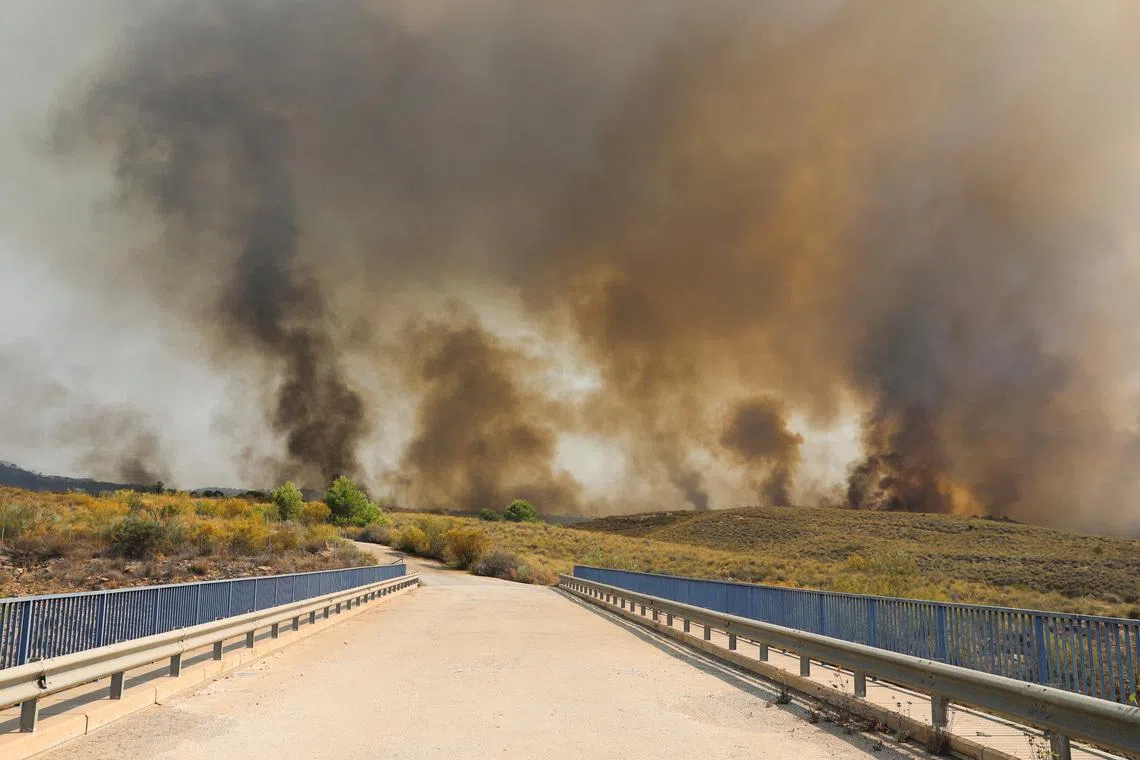 A wildfire burns in Los Gallardos, Almeria, Spain, on July 10.