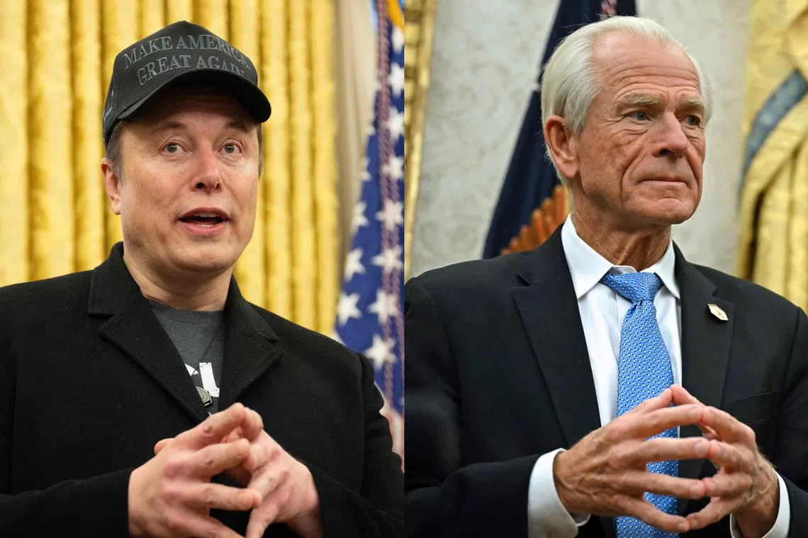 Mr Elon Musk (left) posted criticism of senior White House trade adviser Peter Navarro on his social media platform X. 