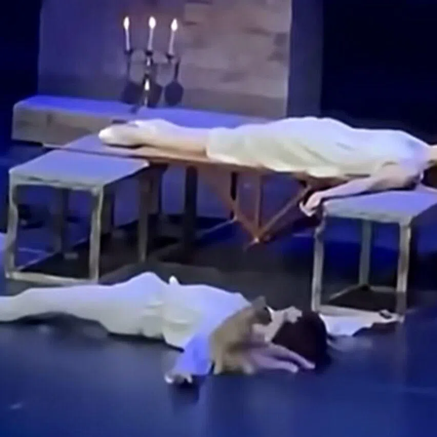 The cat was seen biting and scratching and biting Romeo's actor.