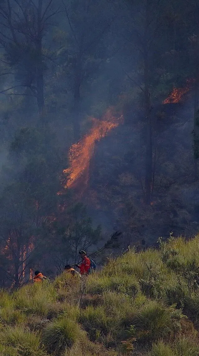 epa13159688 Firefighters extinguish a wildfire in an affected area of Bromo Tengger Semeru National Park in Pasuruan, East Java, Indonesia, 10 August 2026. Authorities closed the national park, including the famous Mount Bromo, to all tourist activities following the wildfire.  EPA/SADEWA