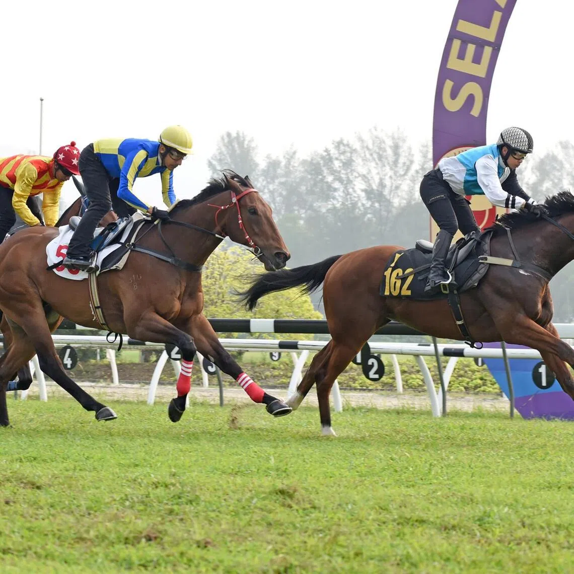 Lucky Mega
PHOTO: SELANGOR TURF CLUB