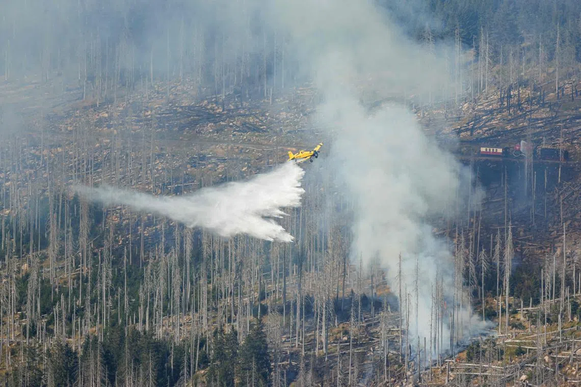 A fire-fighting aircraft dropping water on fires in Germany's Harz Mountains, on Sept 7.