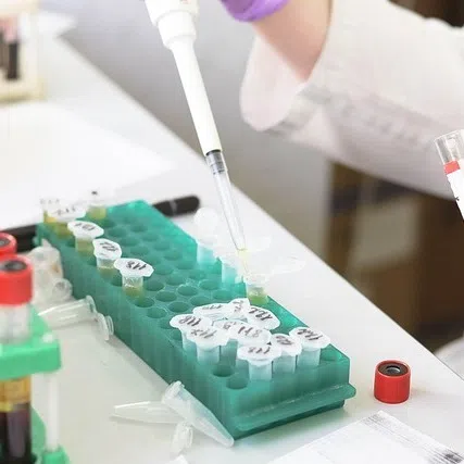 The study found that Chinese-based scientists filled 45 per cent of leadership roles in US-China joint studies in 2023, up from 30 per cent in 2010.