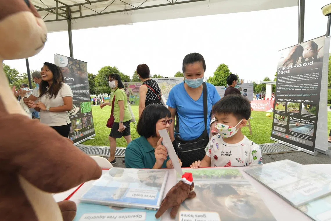 yfmarket03 / ST20221203_202273027781 / Alphonsus Chern //

Chin Wen Xuan, 5, and his mother, Ms Chow Cheew Keeng (in blue), 50, learn more about otters at the Otter Working Group booth at a farmers' market at the Nim Meadow Park on 03 December 2022.