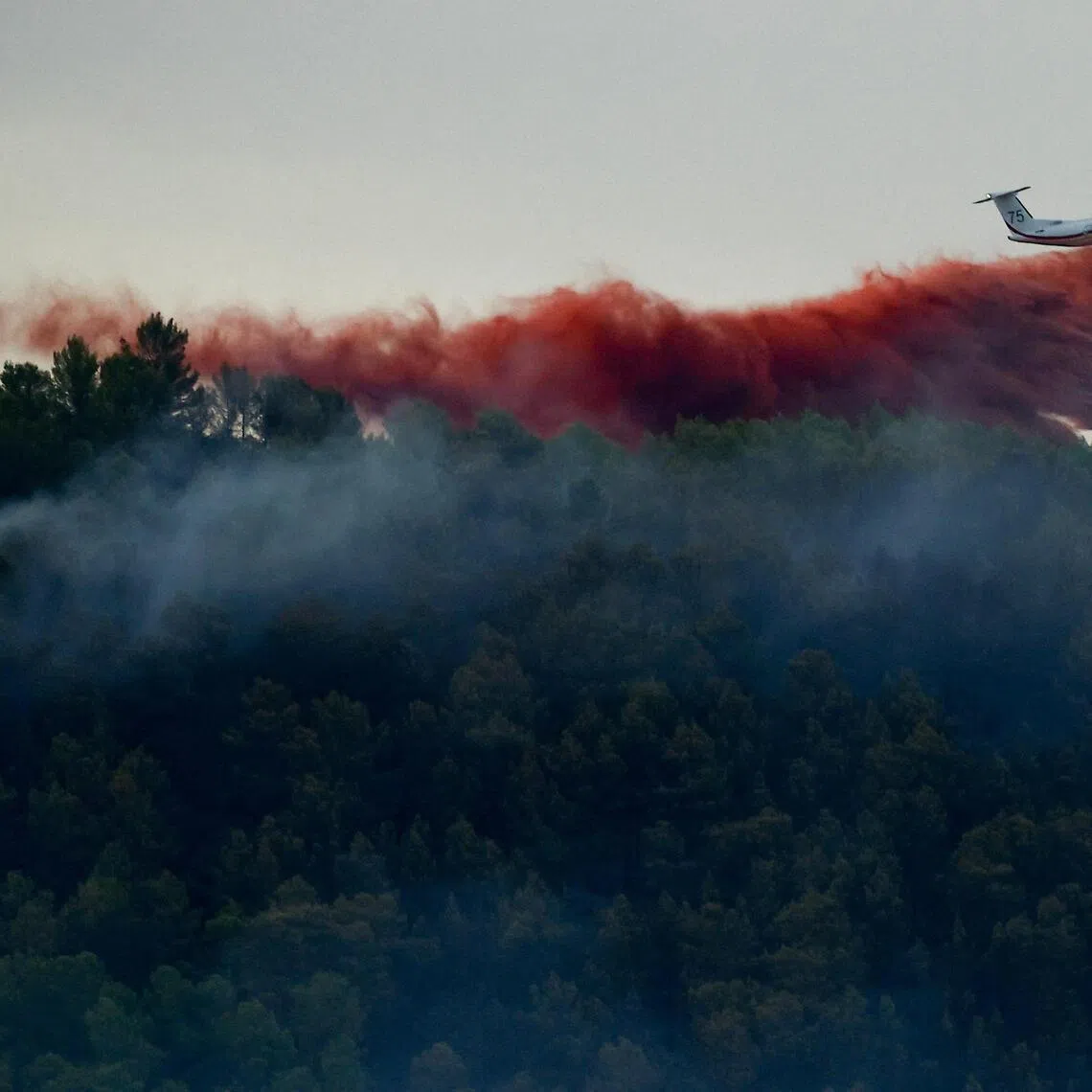 A Dash aircraft drops fire retardant on a wildfire burning between Taradeau and Les Arcs-sur-Argens, near Arc-sur-Argens, southern France on July 19.