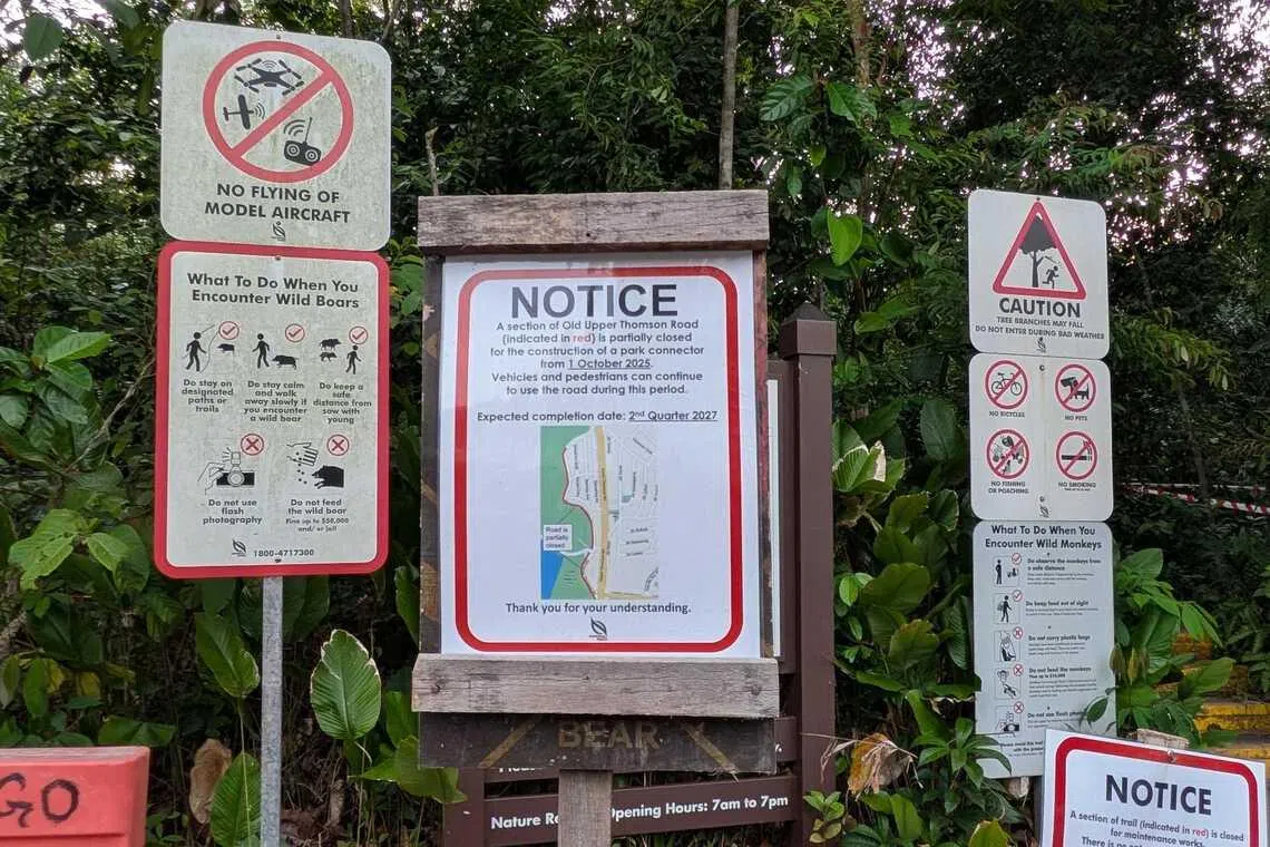 Signs displayed near the site off Old Upper Thomson Road stating that the construction of a nearby park connector is underway.