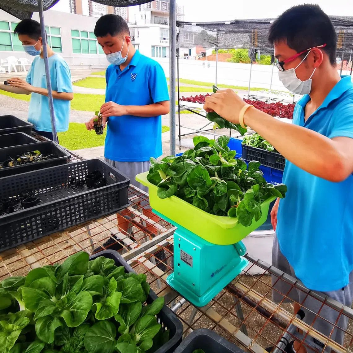 St. Andrew's Autism Centre's Dignity of Work programme offers those on the autism spectrum a chance to engage in supported employment.