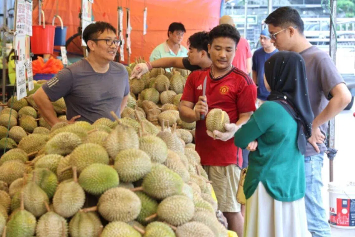 Johor durian season may boost voter turnout in state polls