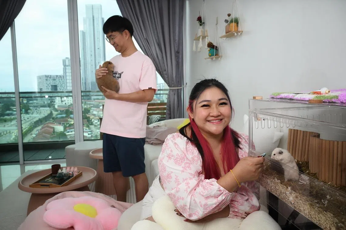 Justin Yeong and Niki Lee playing with their pet hamster and rabbit in the Paragon Suites@ CIQ condo that they rented in Johor Bahru, Malaysia, photographed on February 22, 2024. 

***************
SunLife feature on young couples renting and living abroad while waiting for their BTO. Unmarried couple Niki Lee and Justin Yeong are renting a 2BR condo in JB, just opposite CIQ, and commute in to Singapore almost daily.