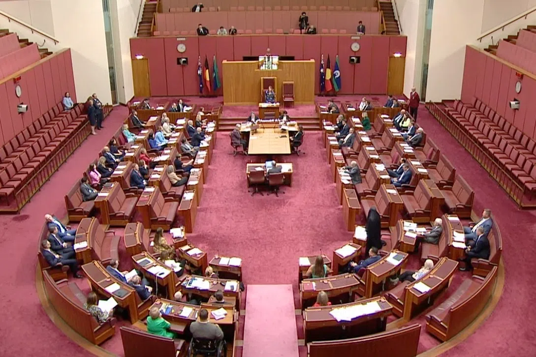 Australian politician Pauline Hanson wore a burqa to parliament on Nov 24, 2025 - a display that was meet by outrage from her fellow senators.