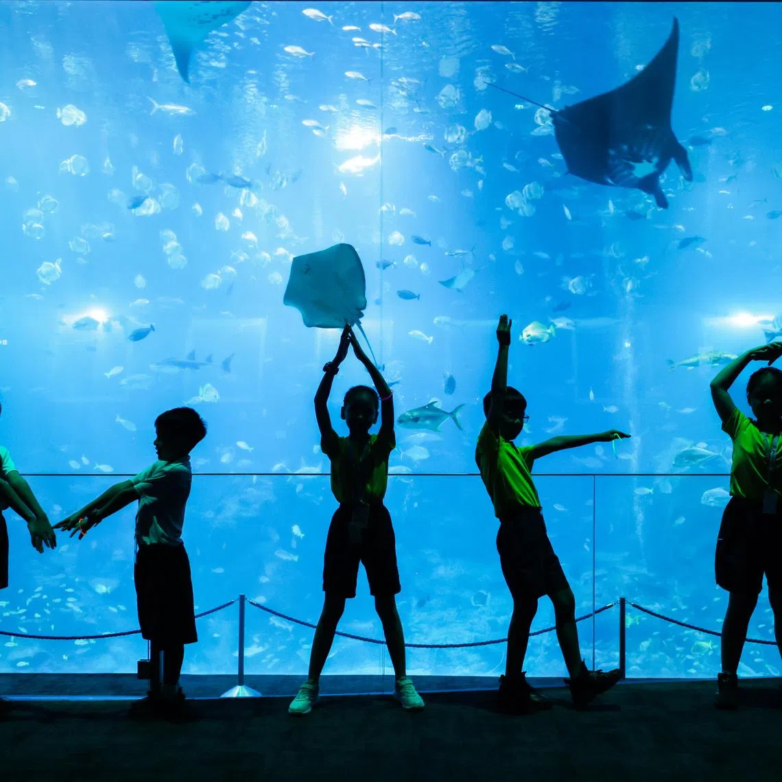 A total of 70 primary school pupils explored Singapore Oceanarium while playing ocean-themed games.