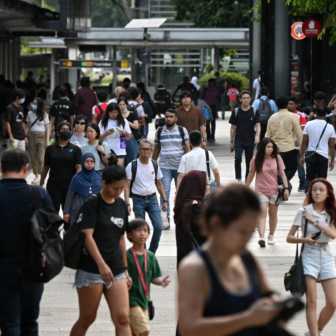 Median monthly household income from work rose 1.4 per cent in real terms, or after adjusting for inflation, in 2024.