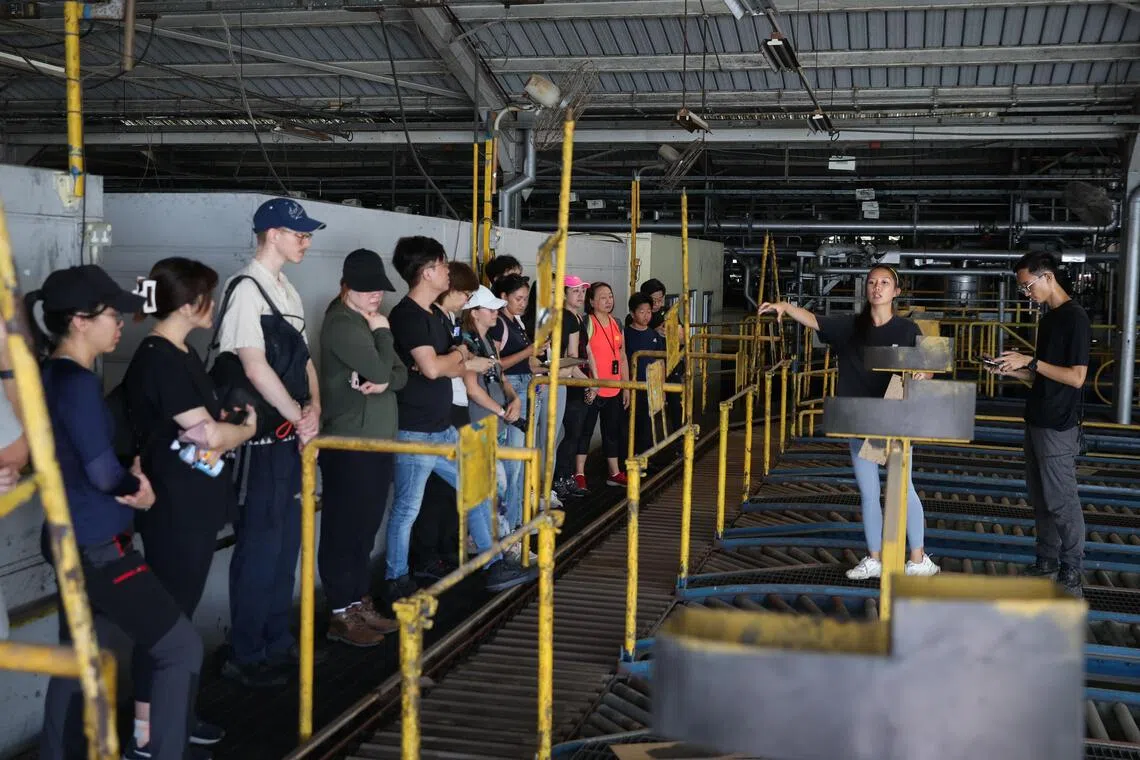 A group of people gathered for a heritage tour. 