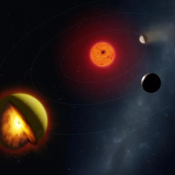 An artist’s impression of the exoplanet named L 98-59 d, shown with a cutaway to reveal its interior, orbiting a red dwarf star, with two of its sibling planets, seen in this image released on March 16.