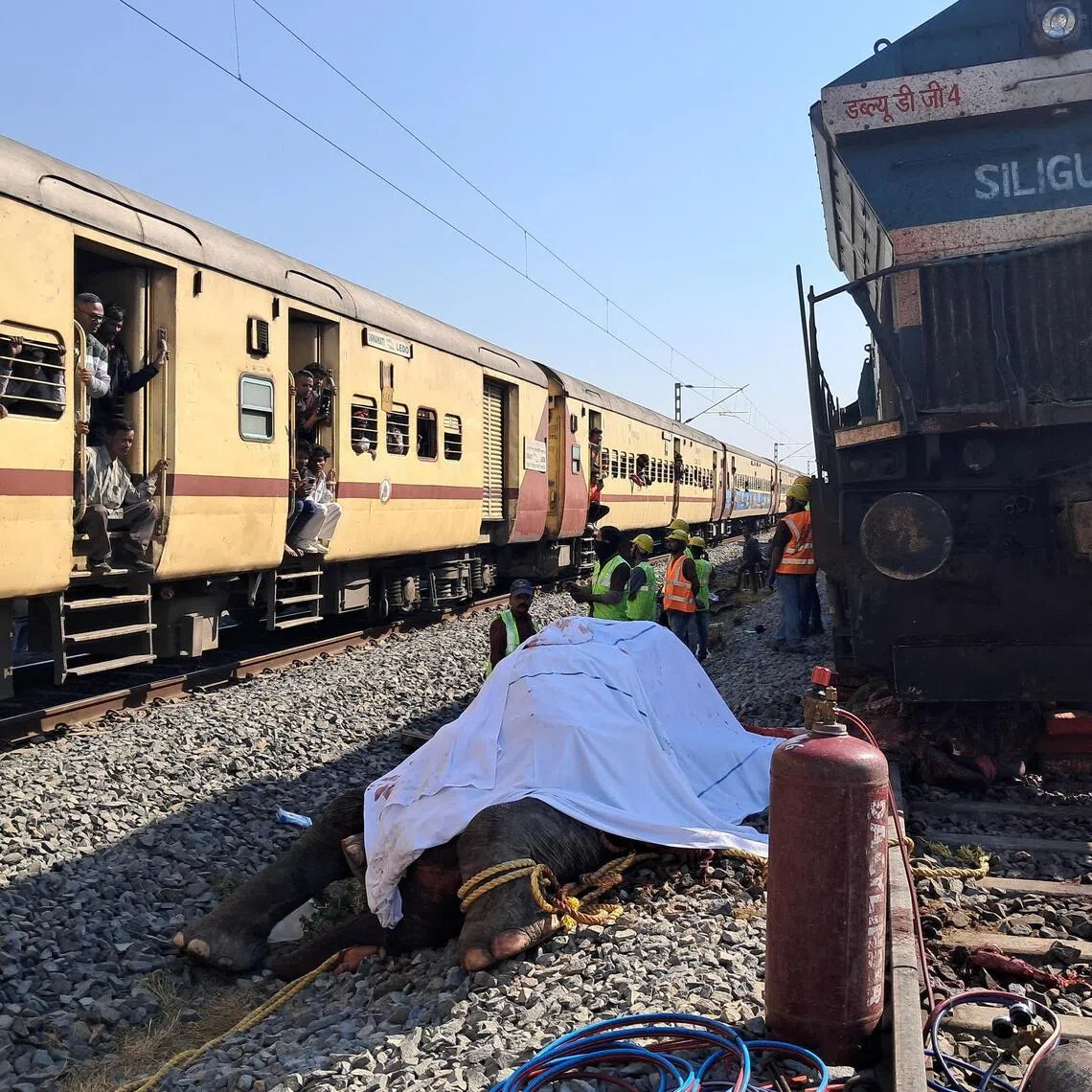 An elephant died after it was hit by a train in the eastern state of Assam, India, on Dec 20, 2025. PHOTO: REUTERS