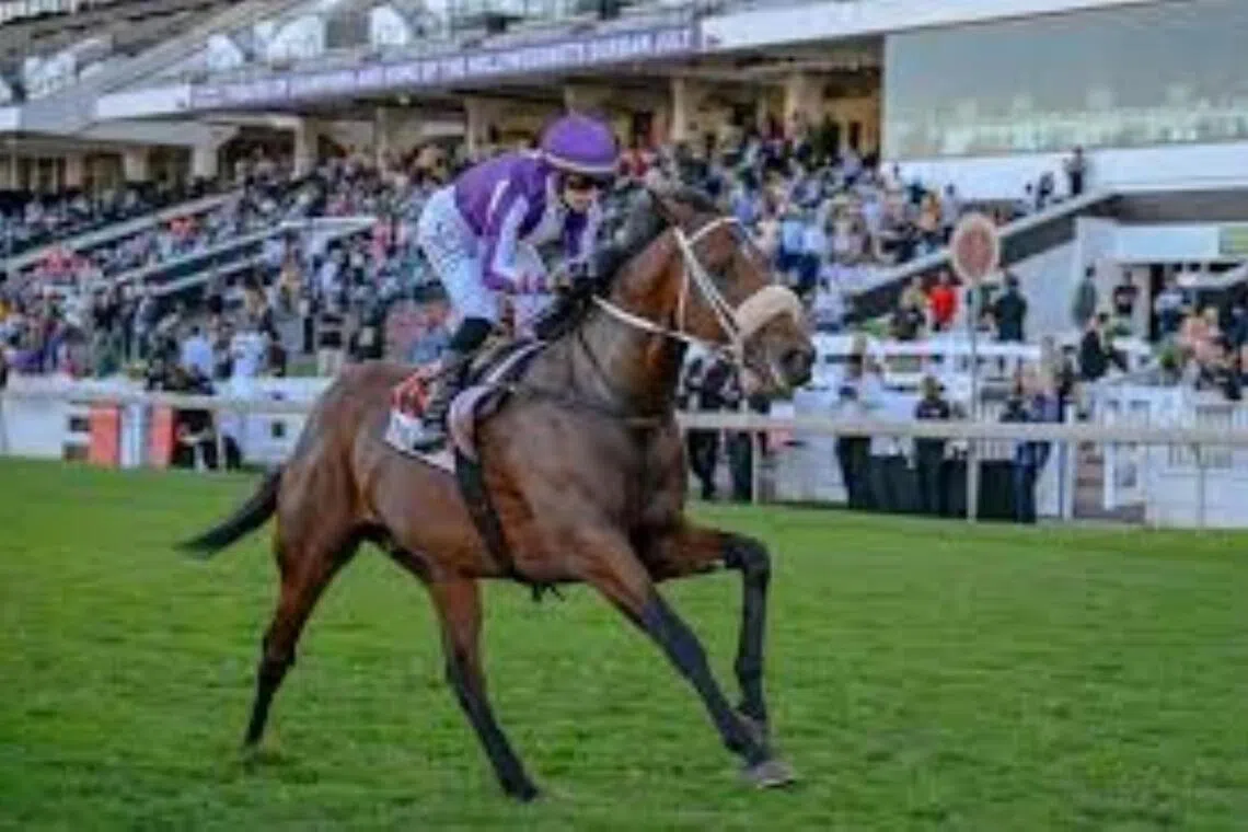  Major (Mickaelle Michel) landing the Grade 2 WSB Guineas (1,600m) at Greyville on May 2.

