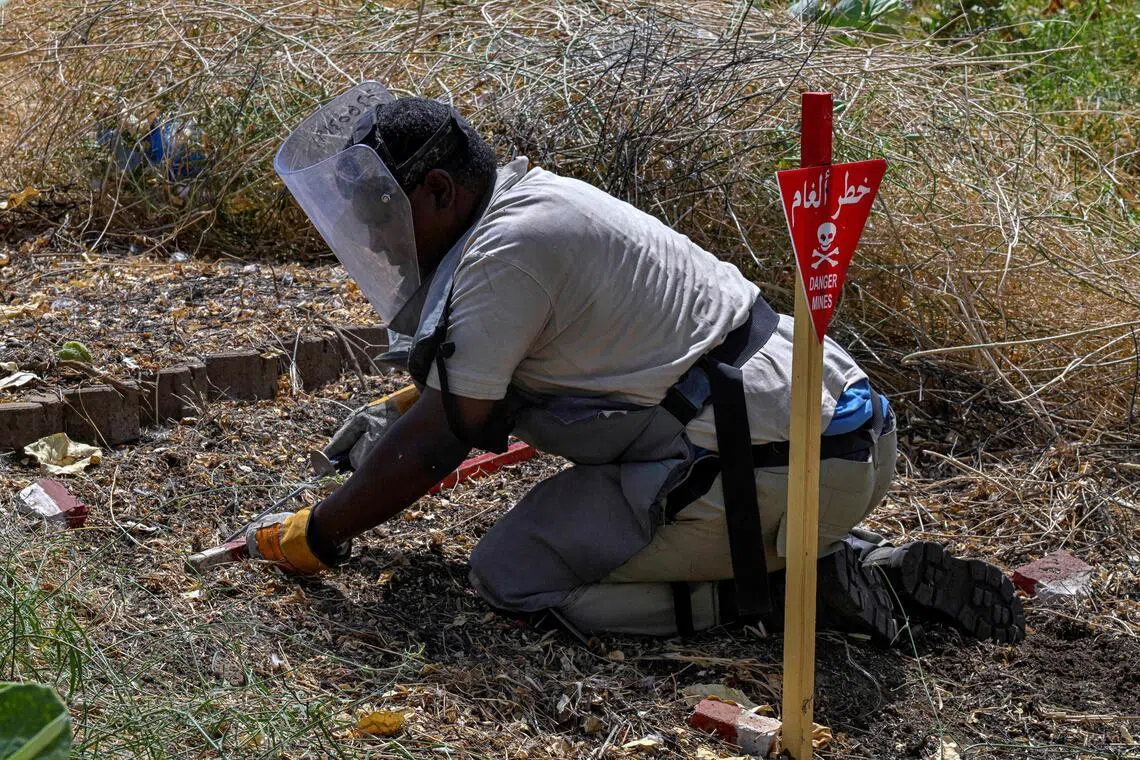 A member of the Danish Refugee Council and Jasmar Human Security Organization uses a metal probe as he searches for land mines in Al-Mugran Park in Khartoum on April 19, 2026.