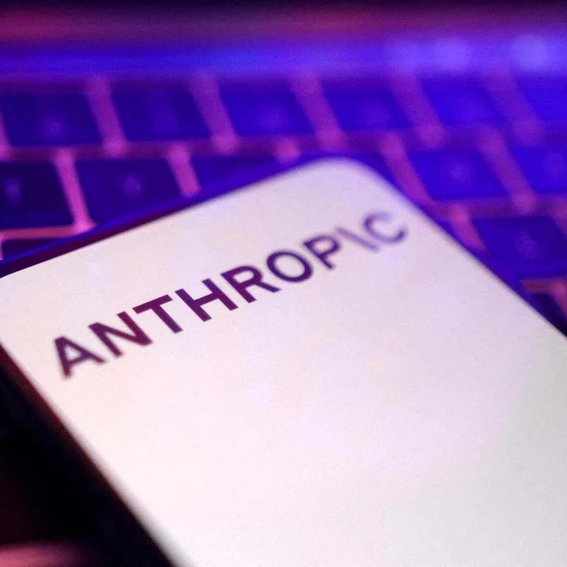 Anthropic's listing could raise more than US$60 billion, The Information reported.