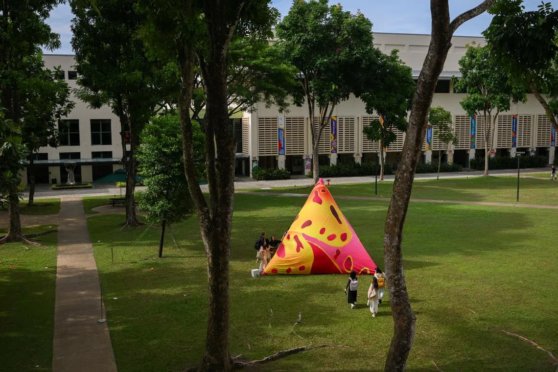 Titled 5 Stones, the artwork was created by artist, curator and NIE senior lecturer Dr Twardzik Ching Chor Leng.