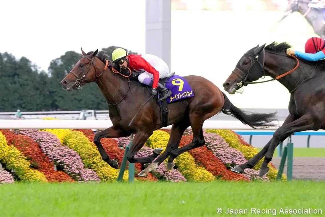 Going To Sky - Going To Sky

PHOTO:  JAPAN RACING ASSOCIATION