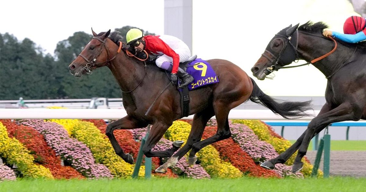 Going To Sky takes Kikuka Sho | The Straits Times
