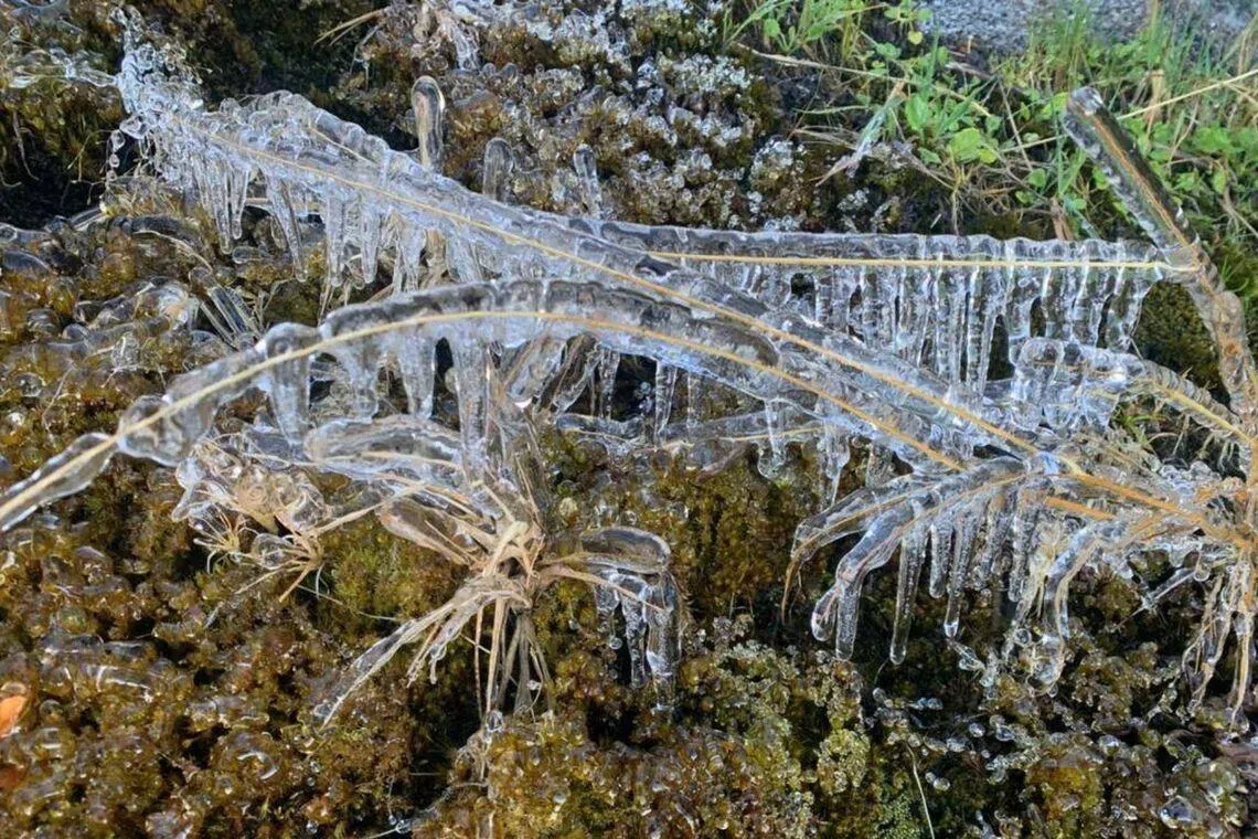 Ice forms on Sabah’s Mount Kinabalu due to dry conditions