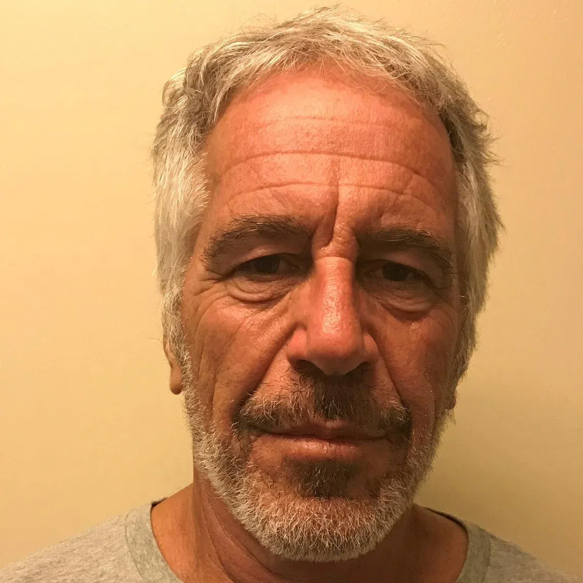 U.S. financier Jeffrey Epstein appears in a photograph taken for the New York State Division of Criminal Justice Services' sex offender registry March 28, 2017 and obtained by Reuters July 10, 2019.  New York State Division of Criminal Justice Services/Handout via REUTERS