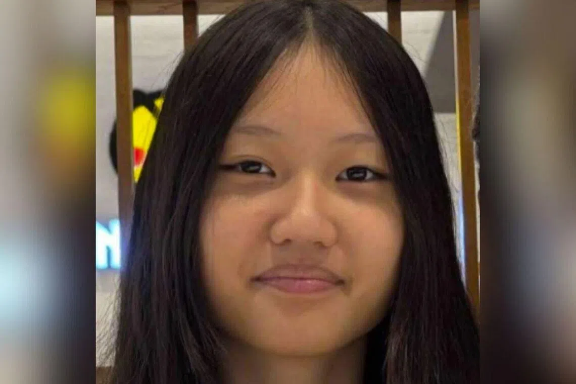 Lee Jia Xuan was last seen near Block 8 Lorong Lew Lian at about noon on June 17.
