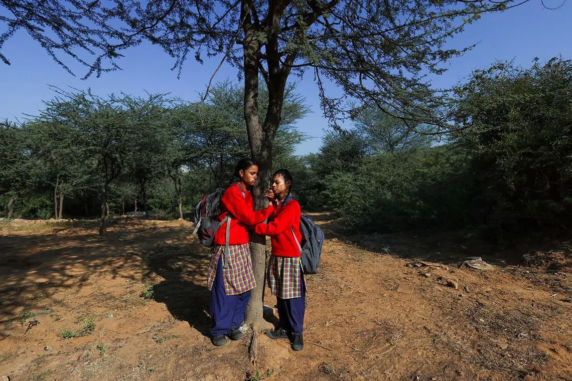 School children hug a tree as they celebrate "Aravalli Day" and to show solidarity with the clean air and water security of the Aravalli ecosystem, near the Aravalli hills, in Gurugram, India, December 13, 2022. REUTERS/Anushree Fadnavis TPX IMAGES OF THE DAY