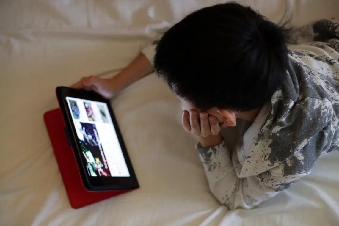 PM Lawrence Wong cautioned that young people may lose touch with the real world when they become overly immersed in the virtual world.
