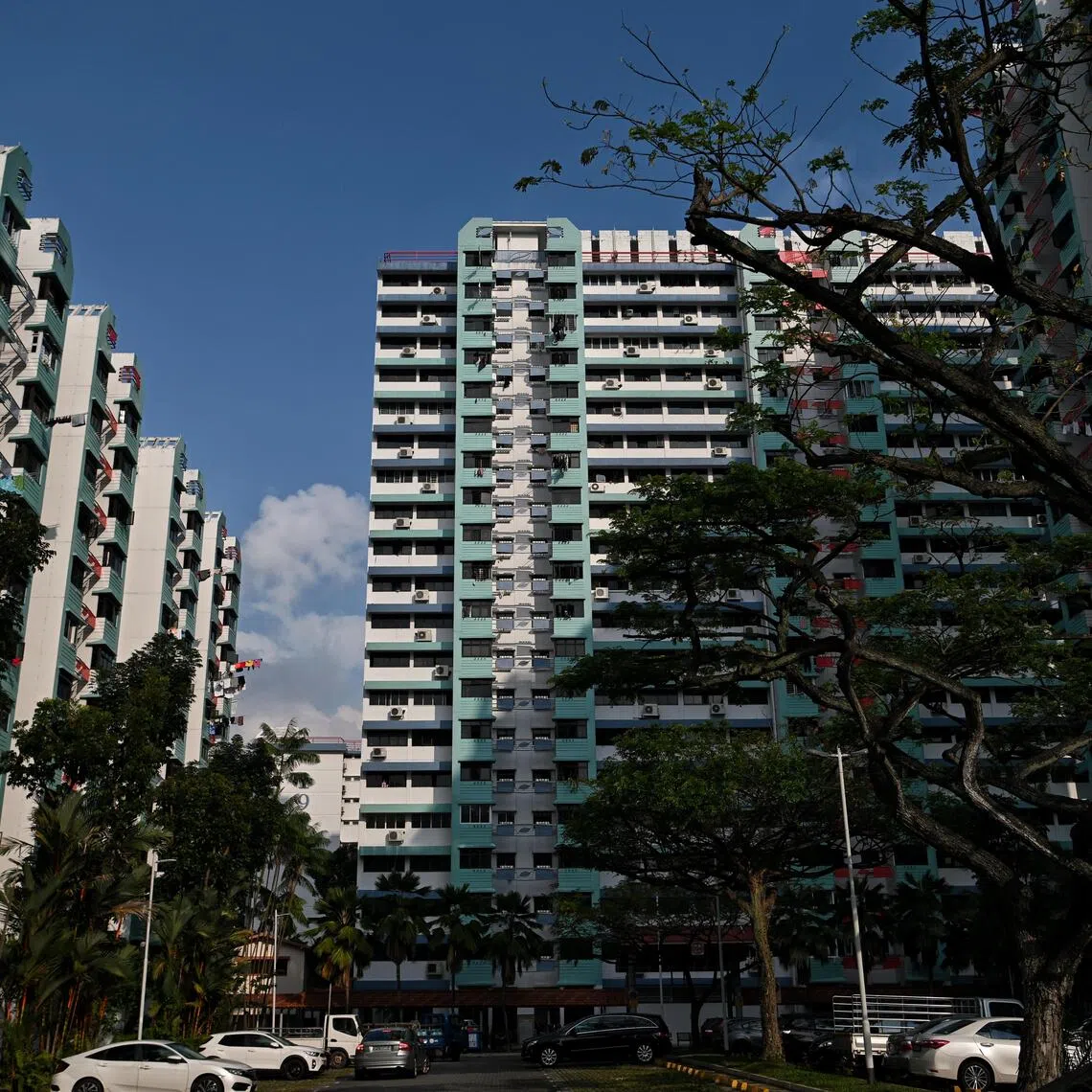 Two thousand households living in Housing Board flats own three or more cars. 