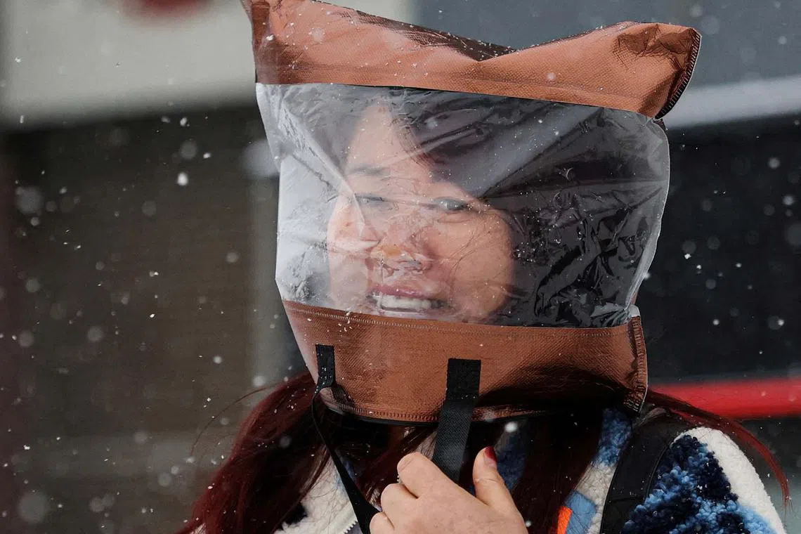 A woman using a plastic bag to protect her head amid snowfall in Beijing, China, Dec 14, 2023. 
