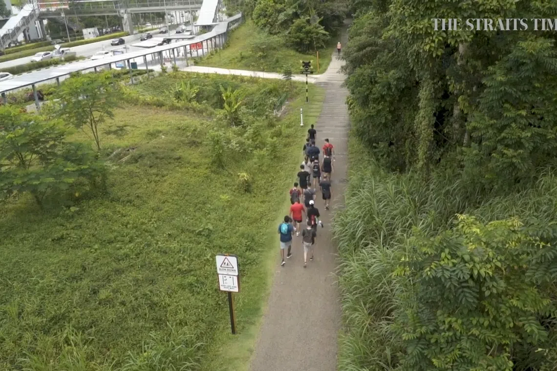 Newly opened Rifle Range Nature Park offers 7km-long trails, rain ...