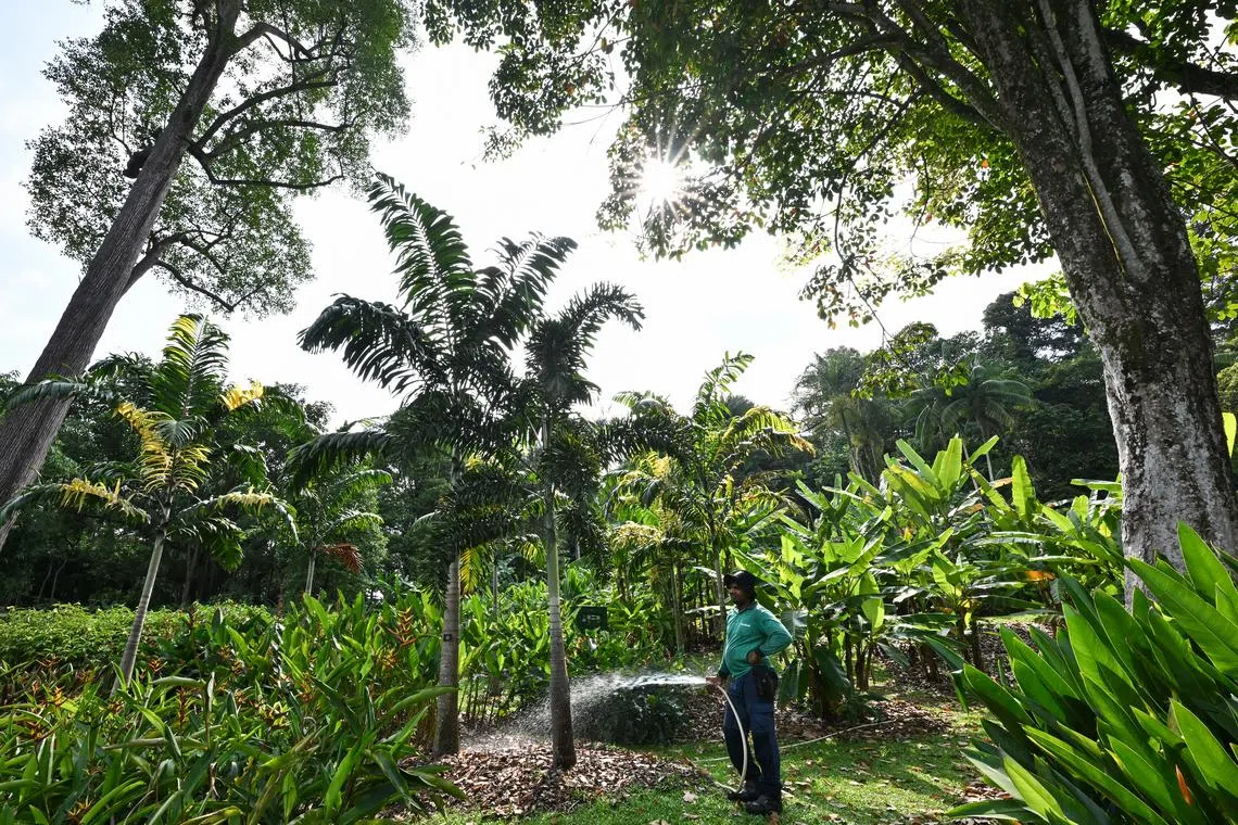 Collectively, the world’s gardens form an extensive network of living plant collections.