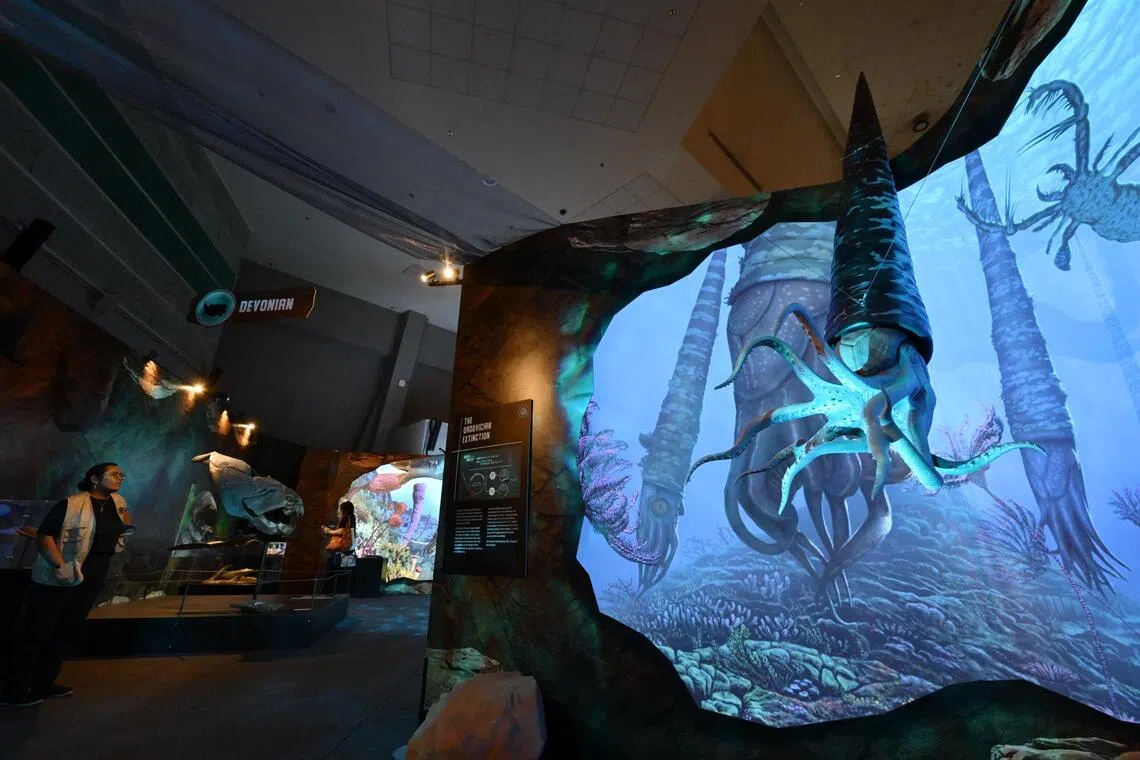 Visitors will learn about prehistoric life and the five major mass extinction events through interactive activities and 90 captivating artefacts.